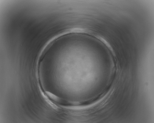 X0000083041342200702091359