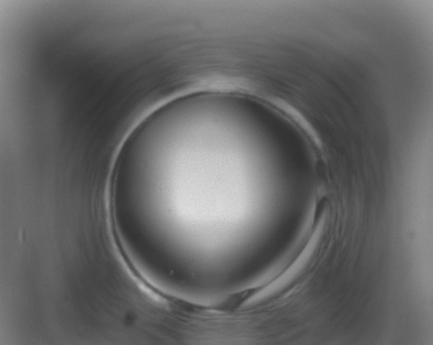 X0000083041343200702091359