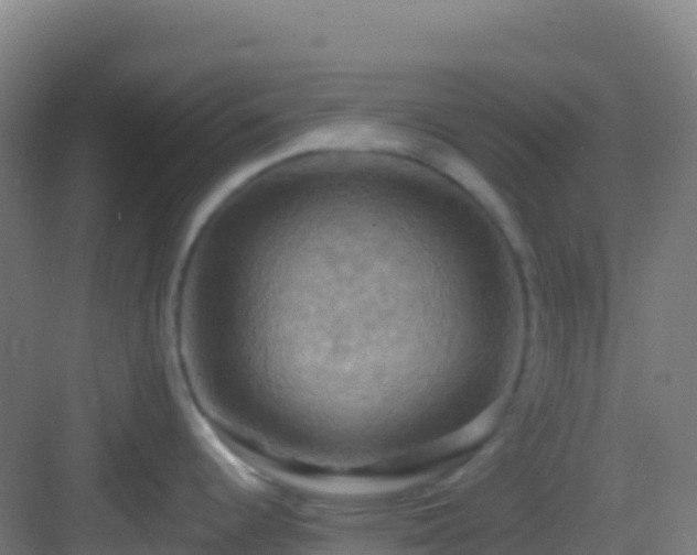 X0000083041344200702091359