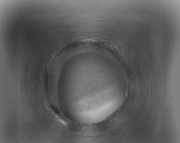 X0000083041345200702091358