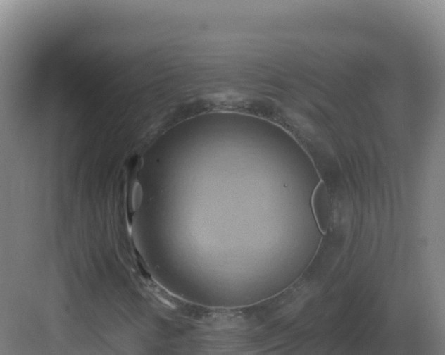 X0000083041346200702091358