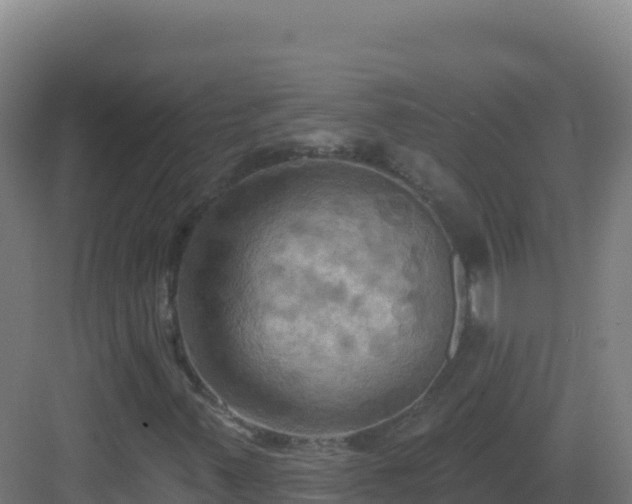 X0000083041347200702091358