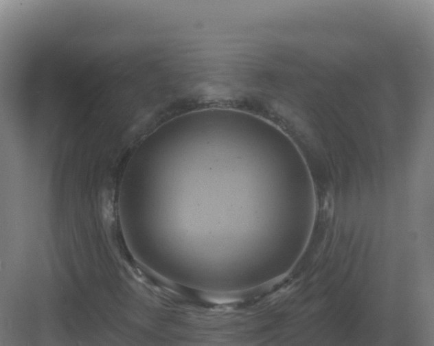 X0000083041348200702091358