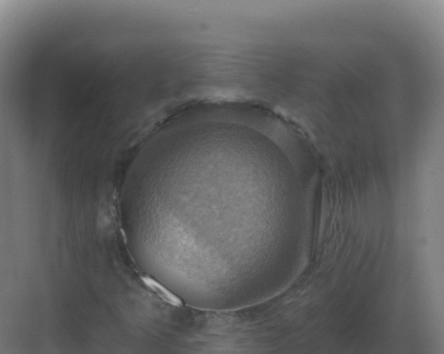 X0000083041349200702091358