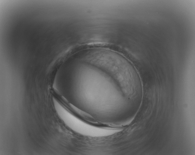 X0000083041351200702091358