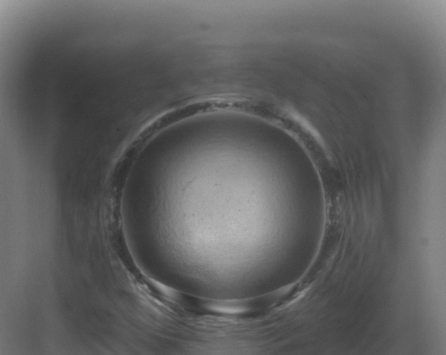 X0000083041352200702091358