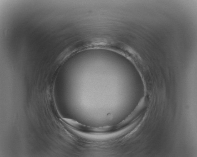 X0000083041353200702091358