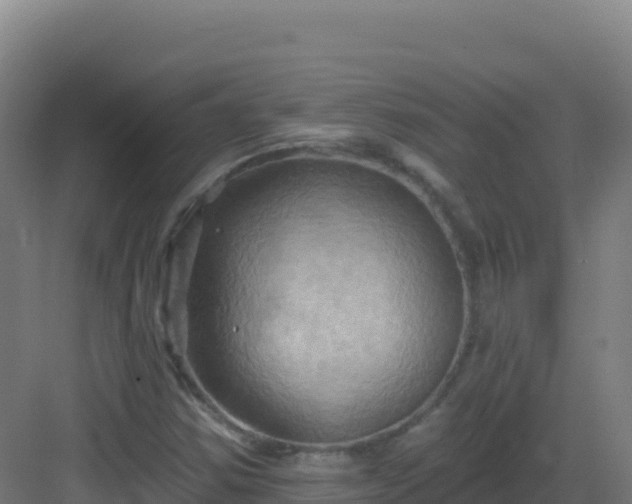 X0000083041354200702091358