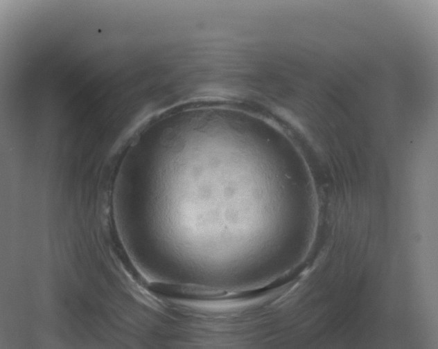 X0000083041355200702091358