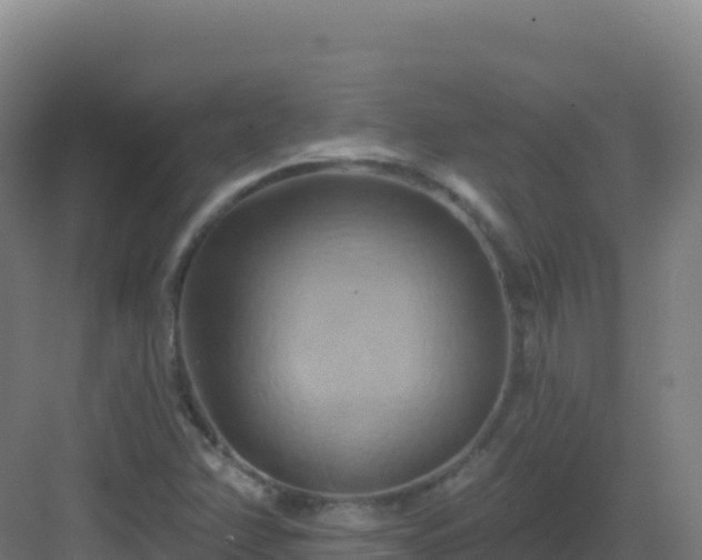 X0000083041358200702091358