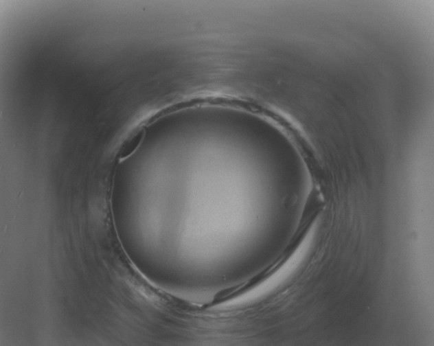 X0000083041359200702091358