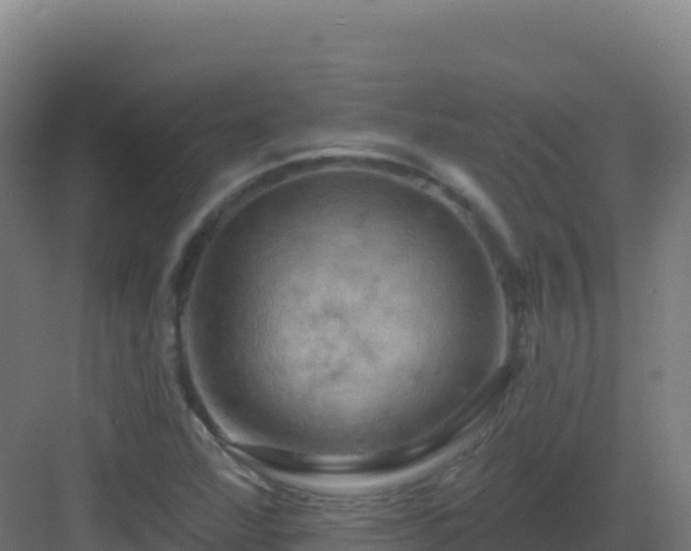 X0000083041360200702091358