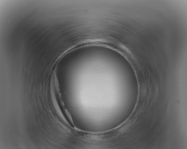 X0000083041361200702091358