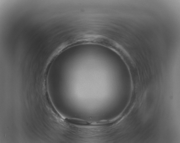 X0000083041362200702091358