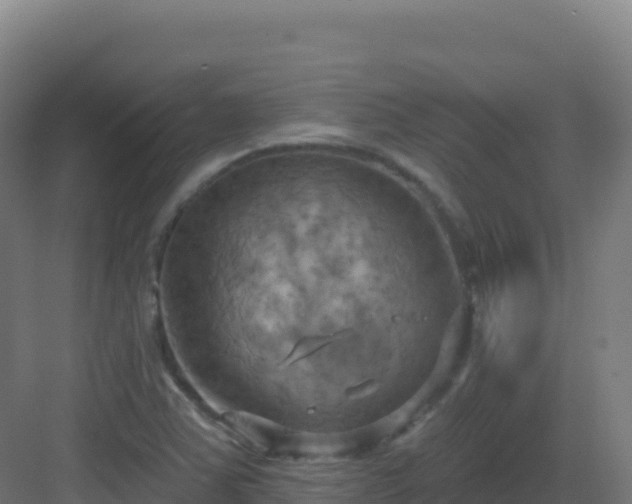 X0000083041363200702091358