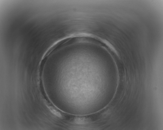 X0000083041364200702091358