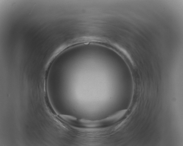 X0000083041365200702091358