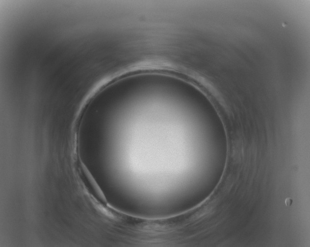 X0000083041366200702091358