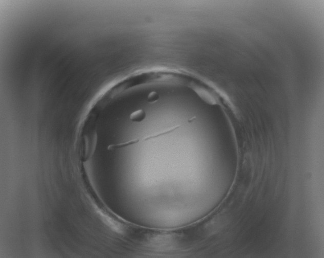 X0000083041367200702091358