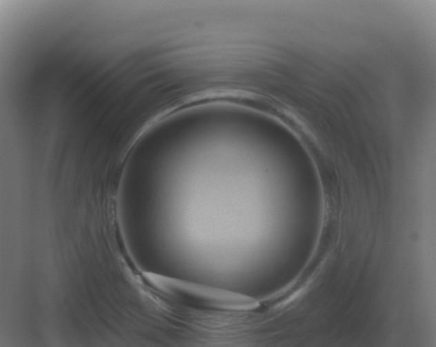 X0000083041369200702091358