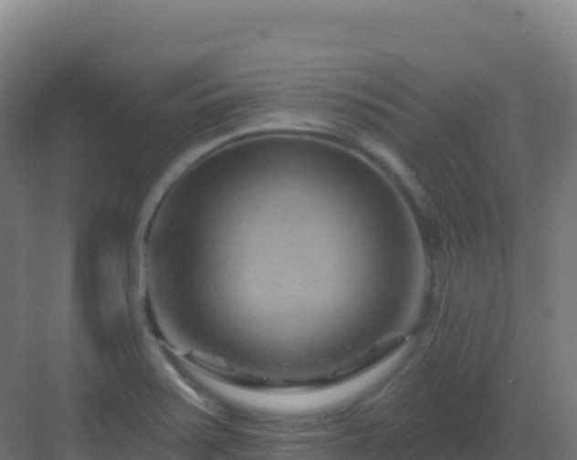 X0000083041371200702091358