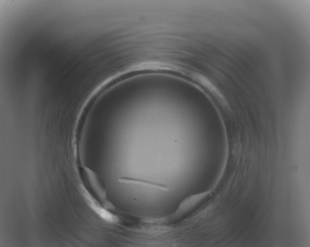 X0000083041372200702091358