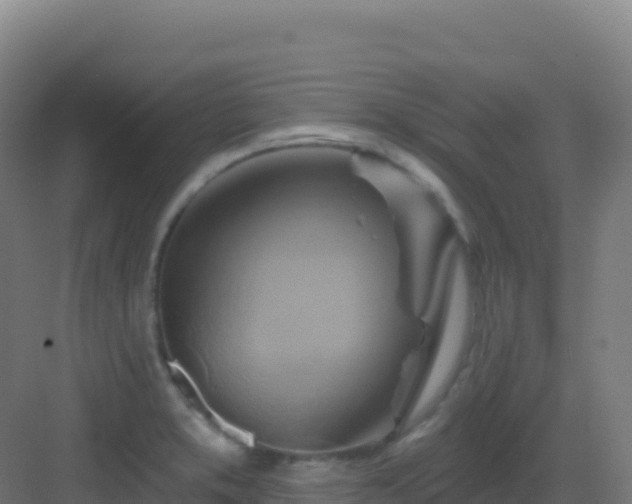 X0000083041373200702091358