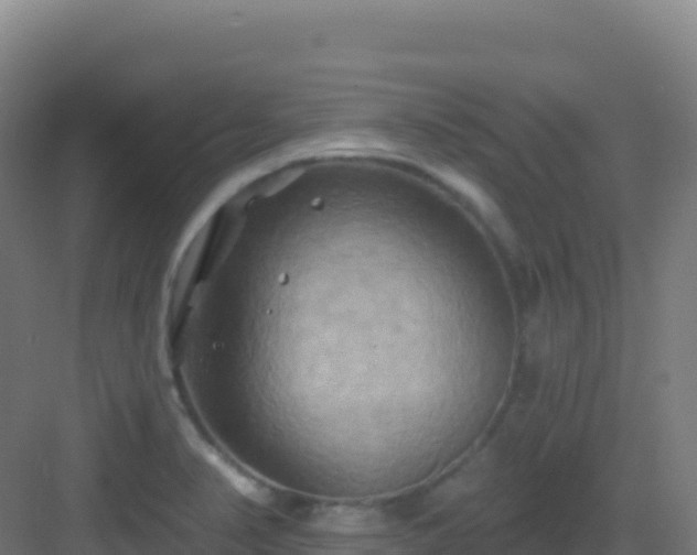 X0000083041374200702091358