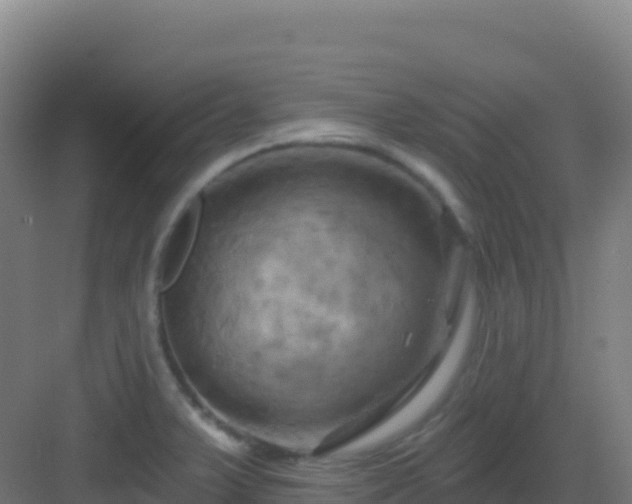 X0000083041375200702091358