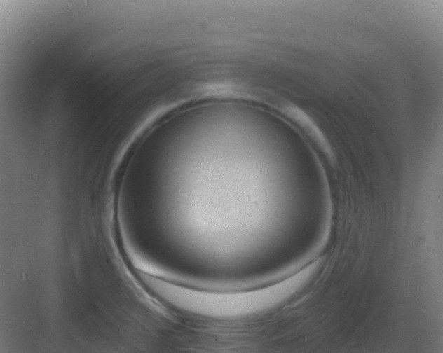 X0000083041376200702091357