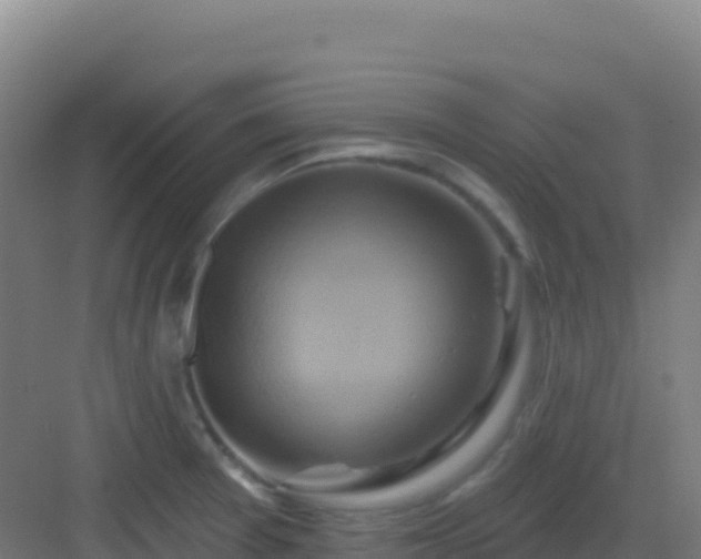 X0000083041377200702091357