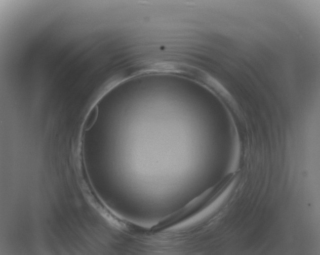 X0000083041378200702091357