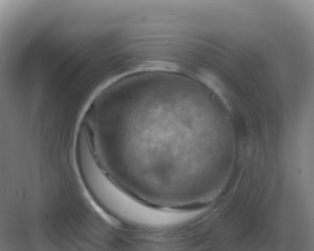 X0000083041379200702091357