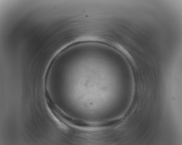 X0000083041380200702091357