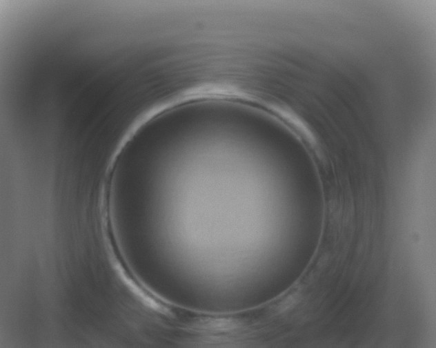 X0000083041382200702091357