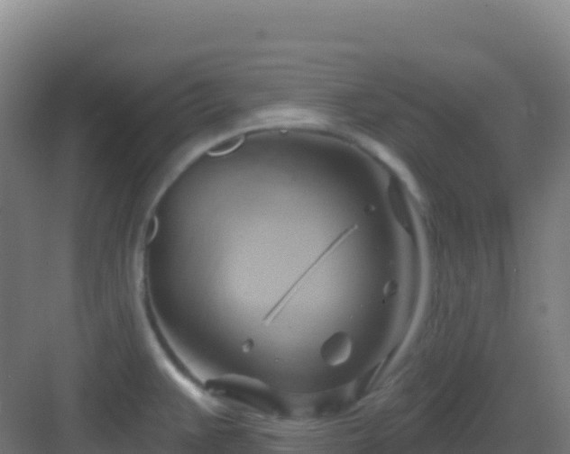 X0000083041383200702091357