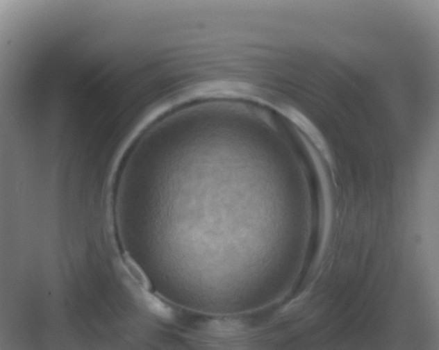 X0000083041384200702091357