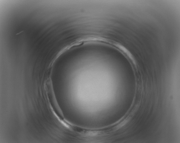 X0000083041385200702091357