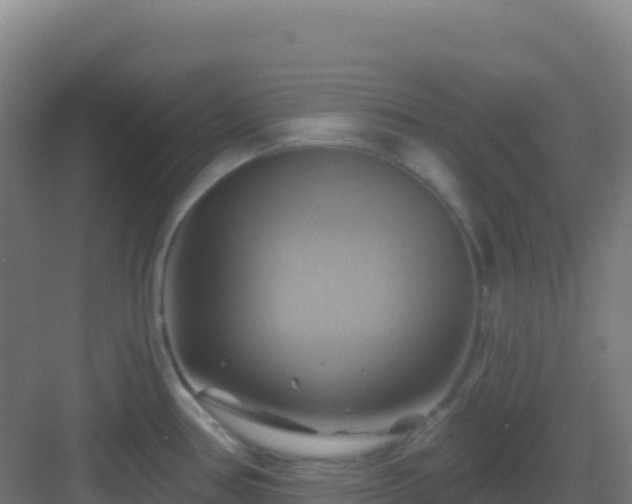 X0000083041386200702091357