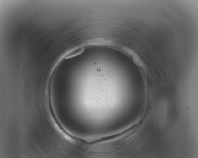 X0000083041387200702091357