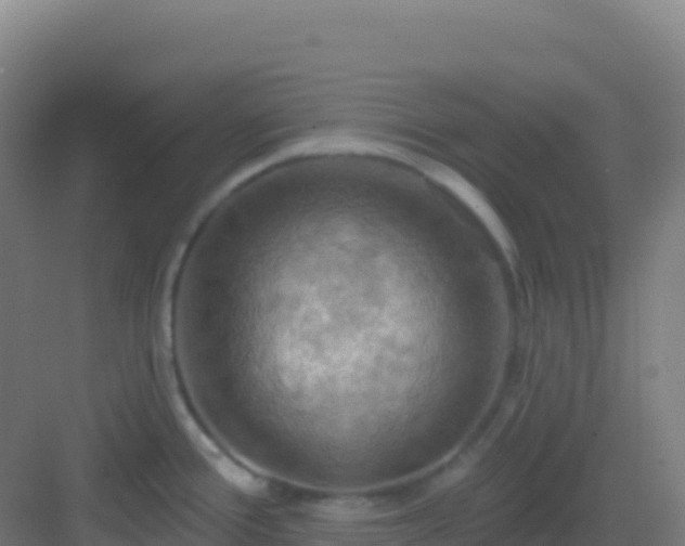 X0000083041388200702091357