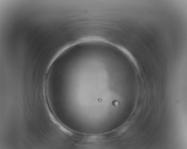 X0000083041390200702091357