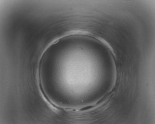 X0000083041391200702091357