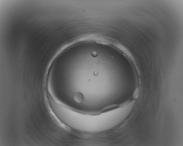 X0000083041392200702091357