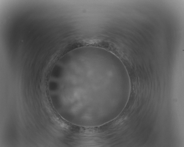 X0000083041393200702091356