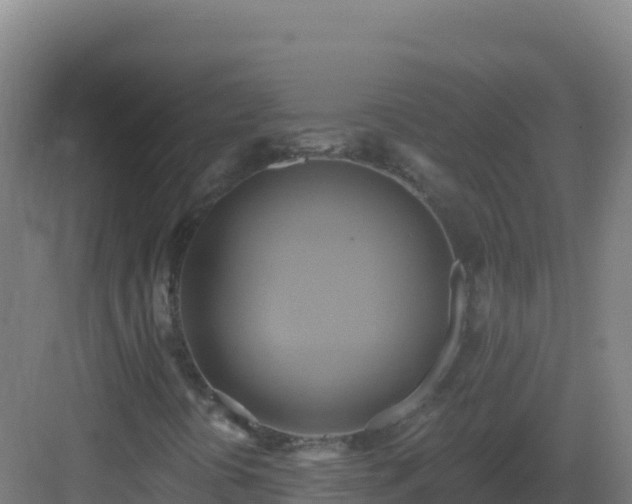 X0000083041394200702091356