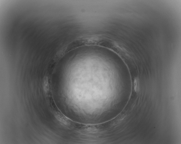 X0000083041395200702091356