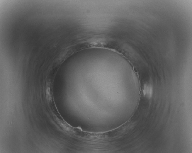 X0000083041396200702091356