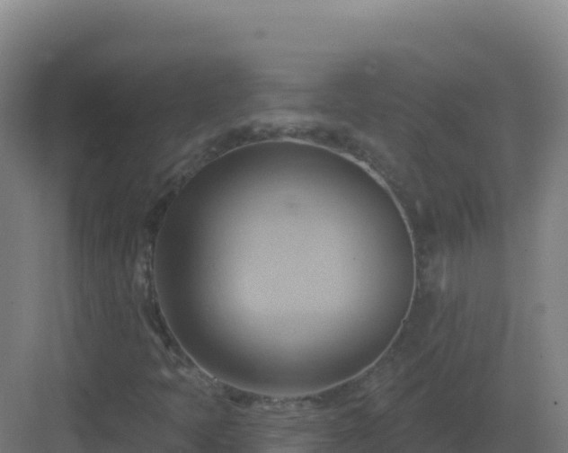 X0000083041397200702091356