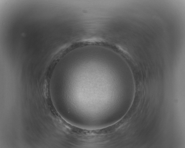 X0000083041398200702091356